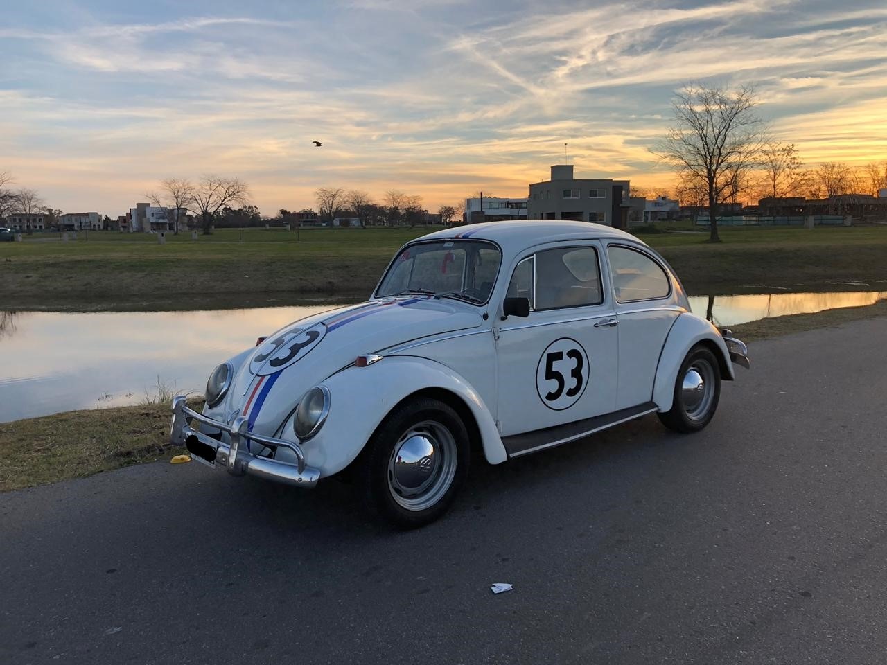 VOLKSWAGEN ESCARABAJO