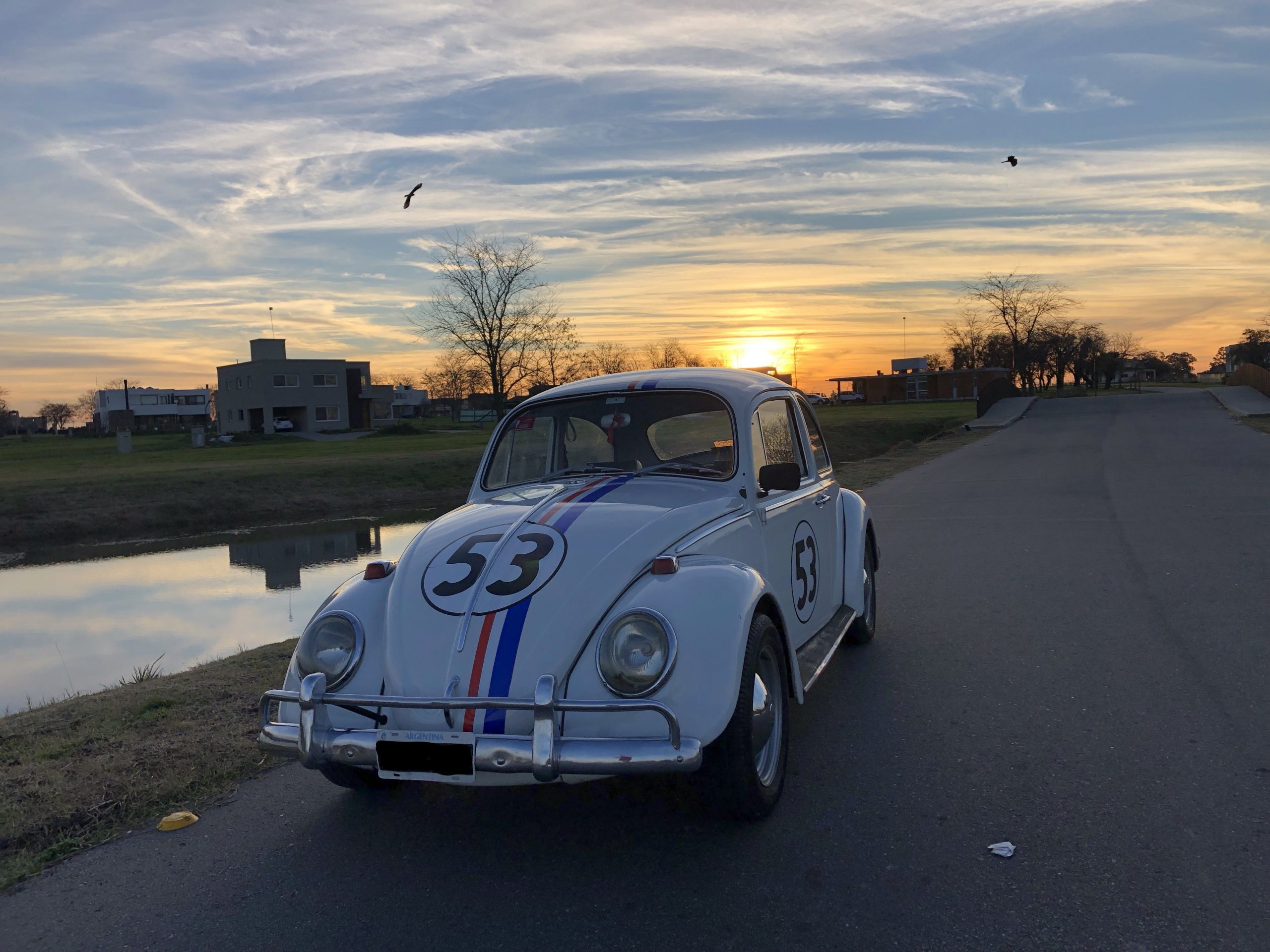 VOLKSWAGEN ESCARABAJO